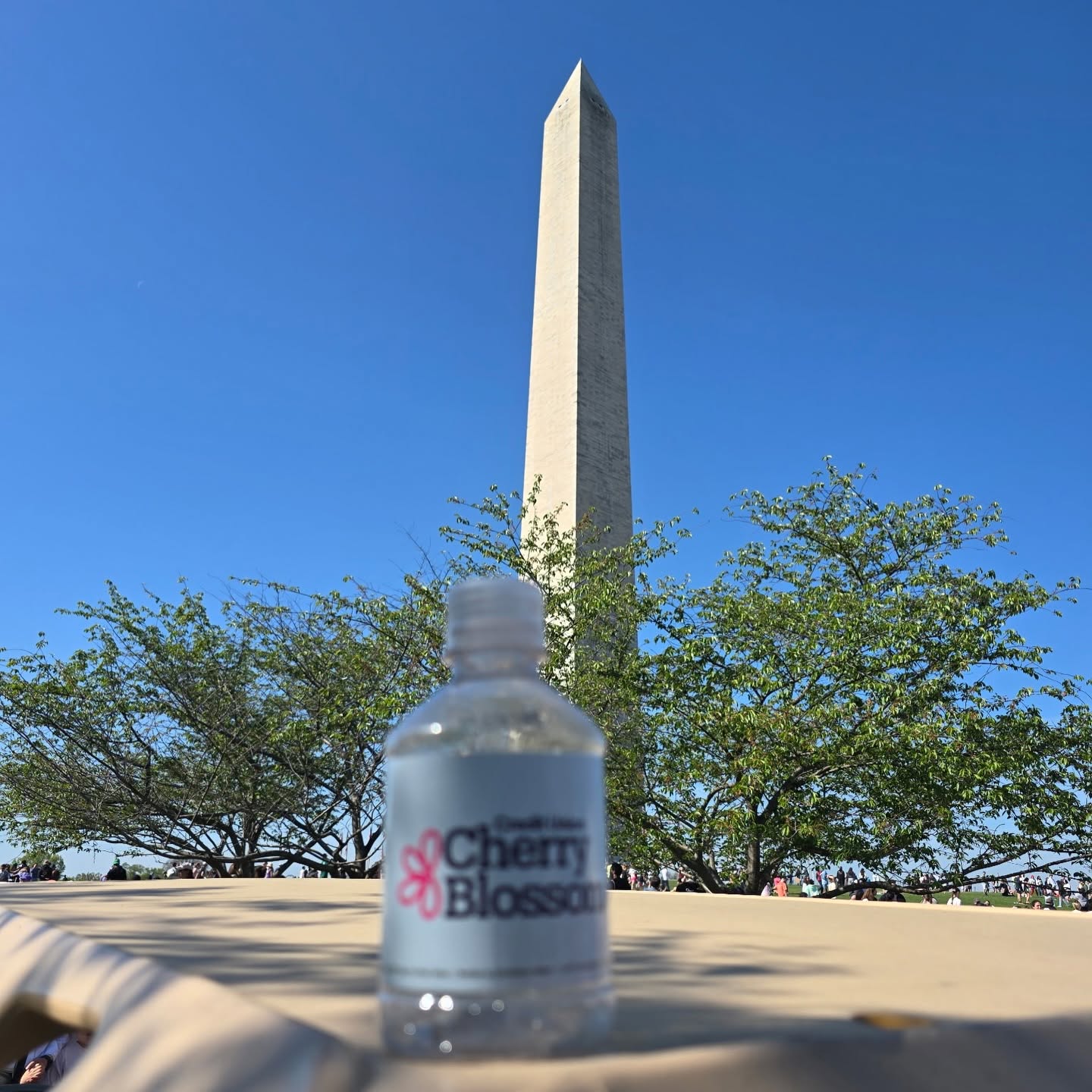 Washington Monument