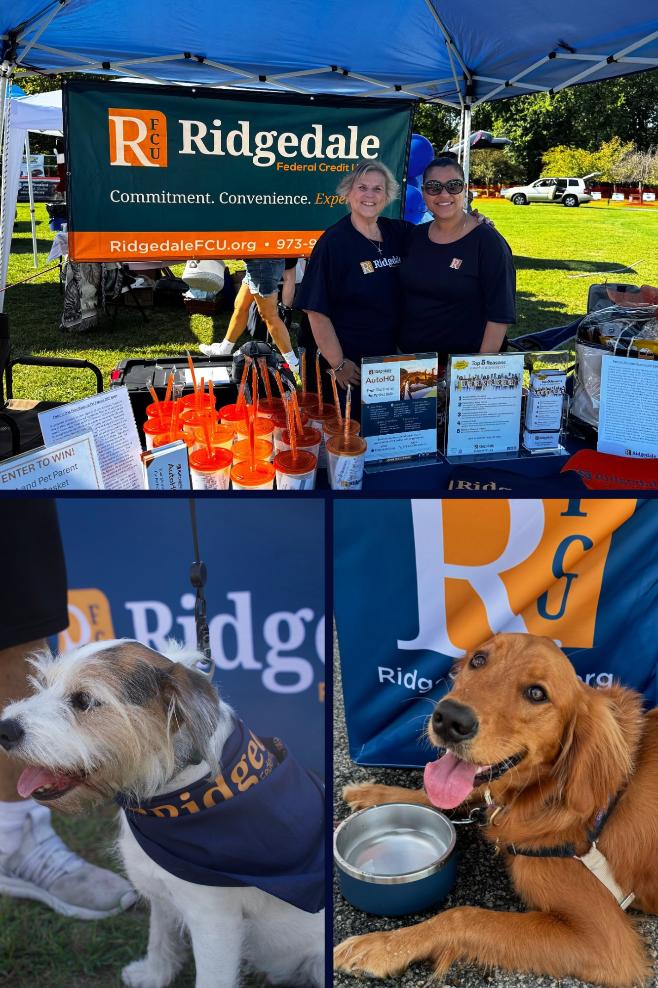 Pet Palooza 2025!