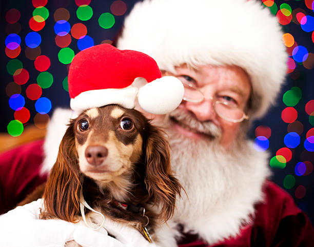 santa and a dog